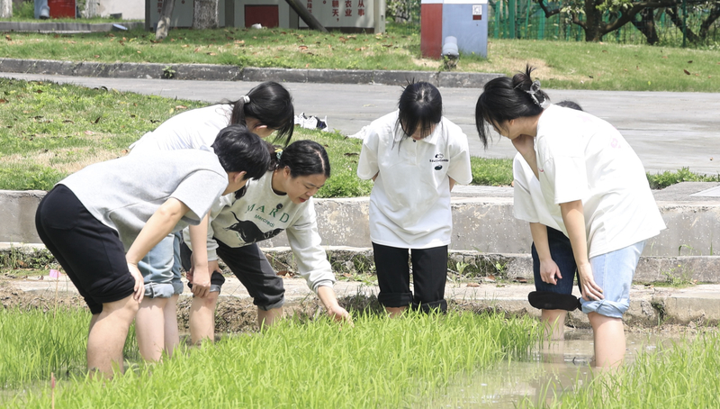 1789004857963064076.jpg 孙琴.jpg